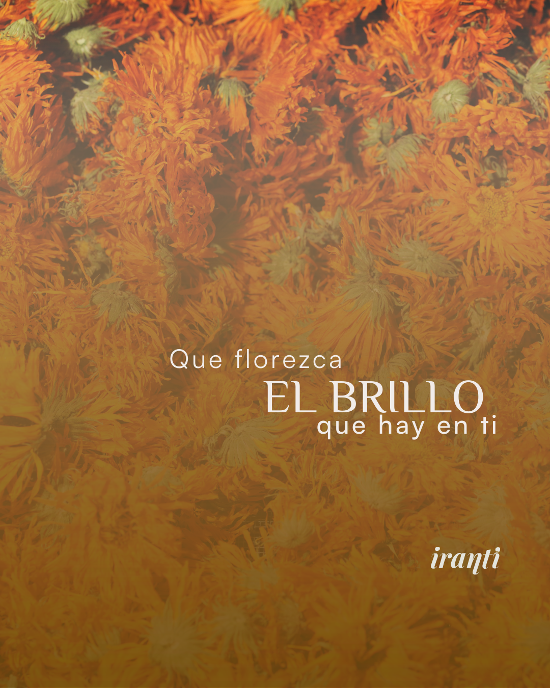 Taller "Primavera" 22 de Marzo Agotado