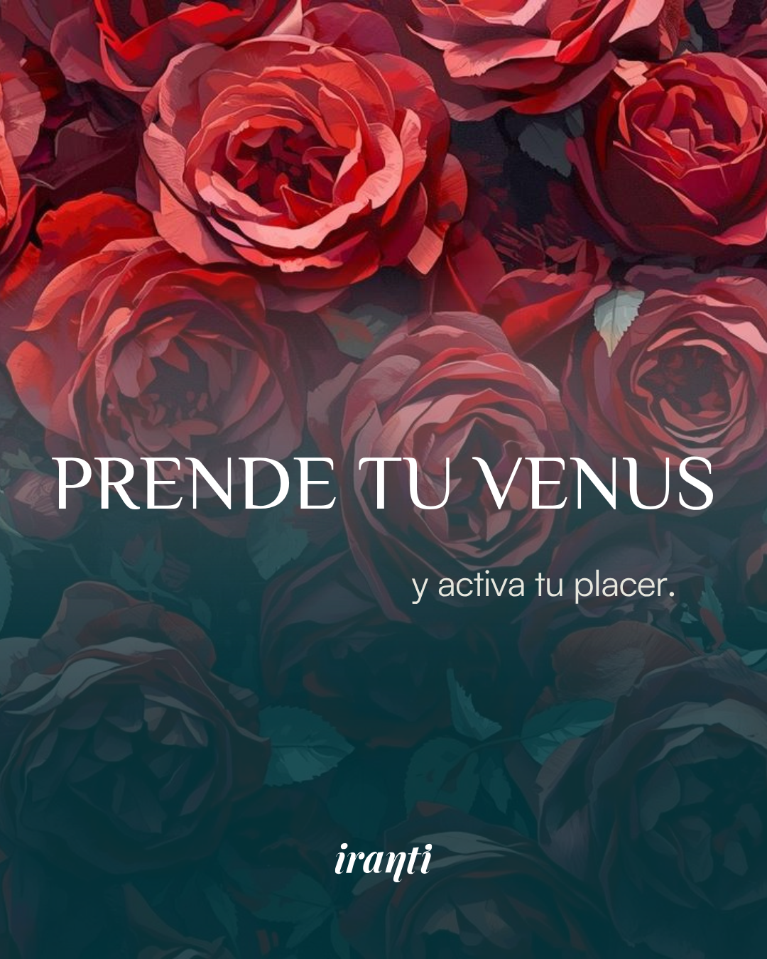 Taller Prende tu Venus 26 de Abril