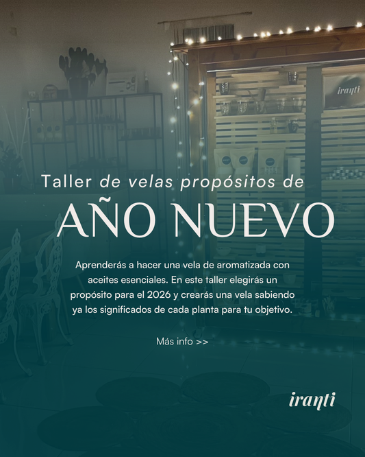 Taller "Año nuevo" 28 de Diciembre