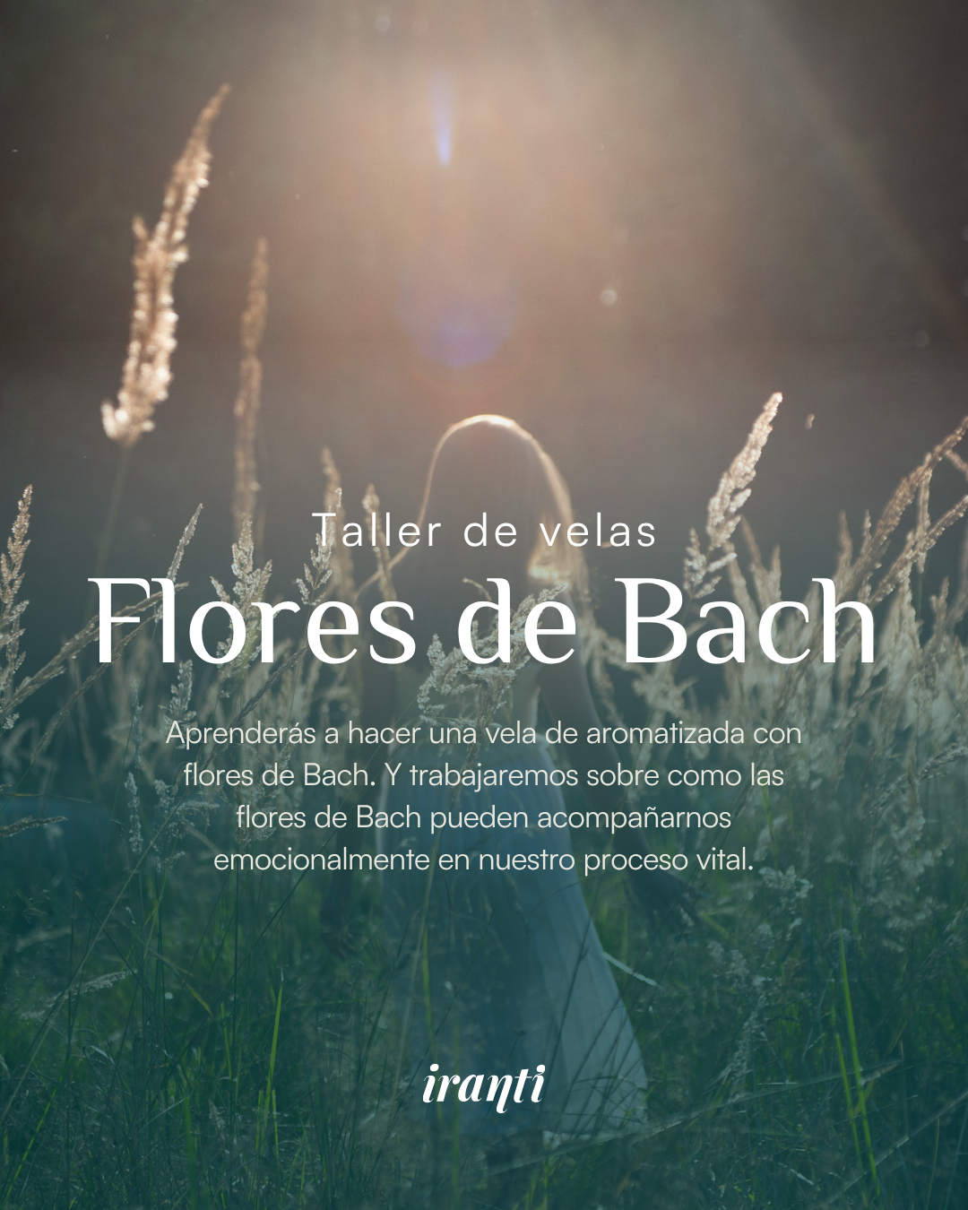 Taller de velas + flores de bach 25 de Octubre